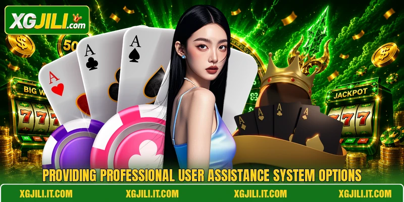 Providing professional user assistance system options Providing professional user assistance system options